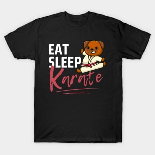 Eat Sleep Karate T-Shirt